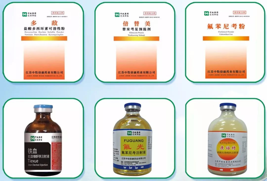 北方稀土：看好未来稀土行业下游需求增长 稳中求进扩大国际市场
